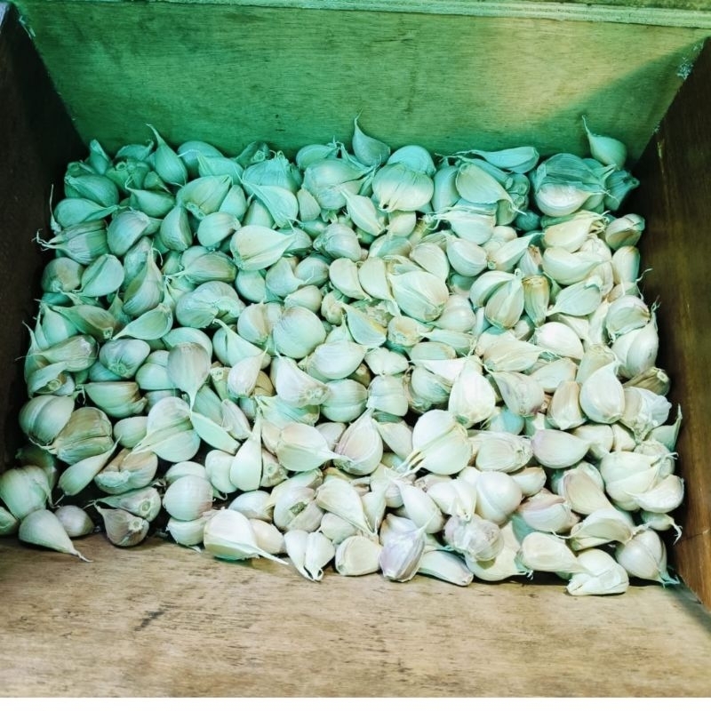 

Bawang putih Kating 1kg