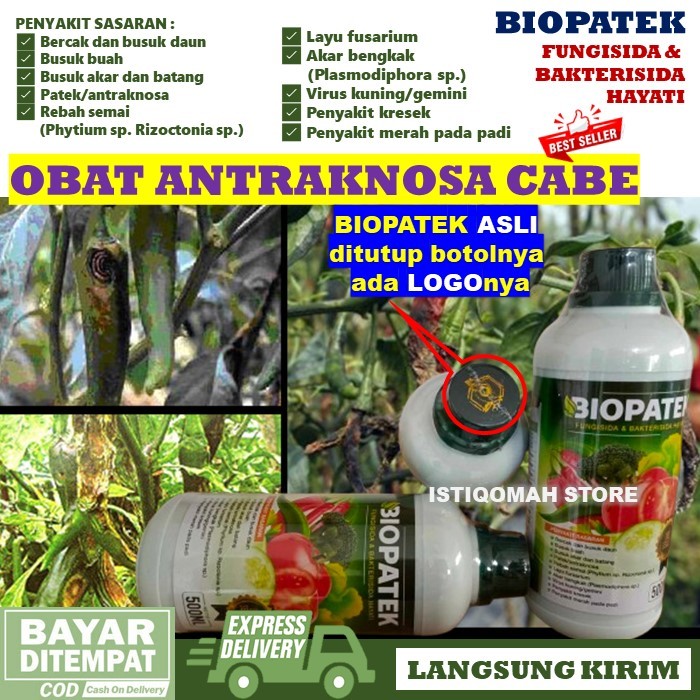 BIOPATEK 500ML Fungisida Hayati Obat Penyakit Antraknosa Busuk Kering Patek Pada Tanaman Cabe Cabai 