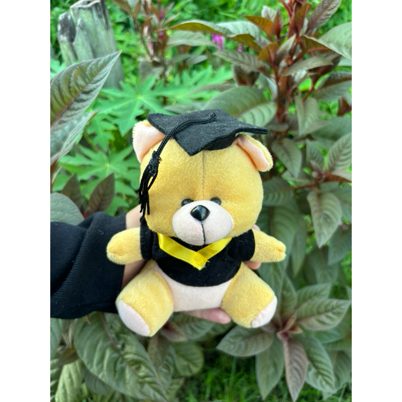 BONEKA WISUDA MINI BONEKA WISUDA BUKET