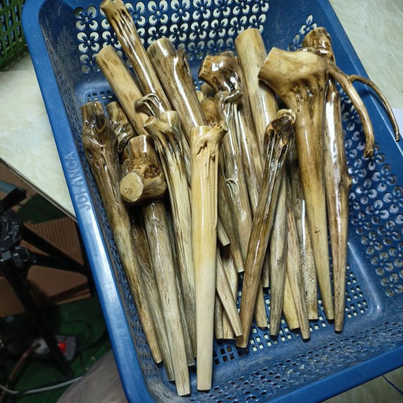 Once kayu Tlogosari unik