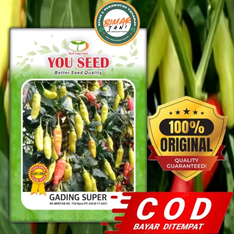 Cabe Rawit GADING SUPER Type Kaliber atau ORI 212