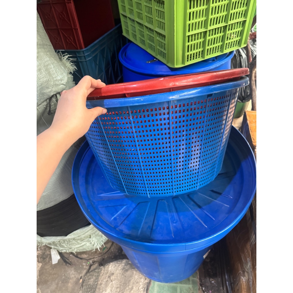 [DK] BAKUL JUMBO | Bakul Keranjang Laundry Plastik Besar Serbaguna