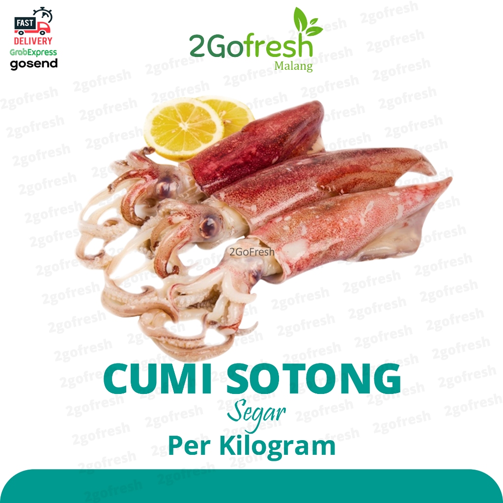

Cumi Sotong Fresh - Sayur Sayuran