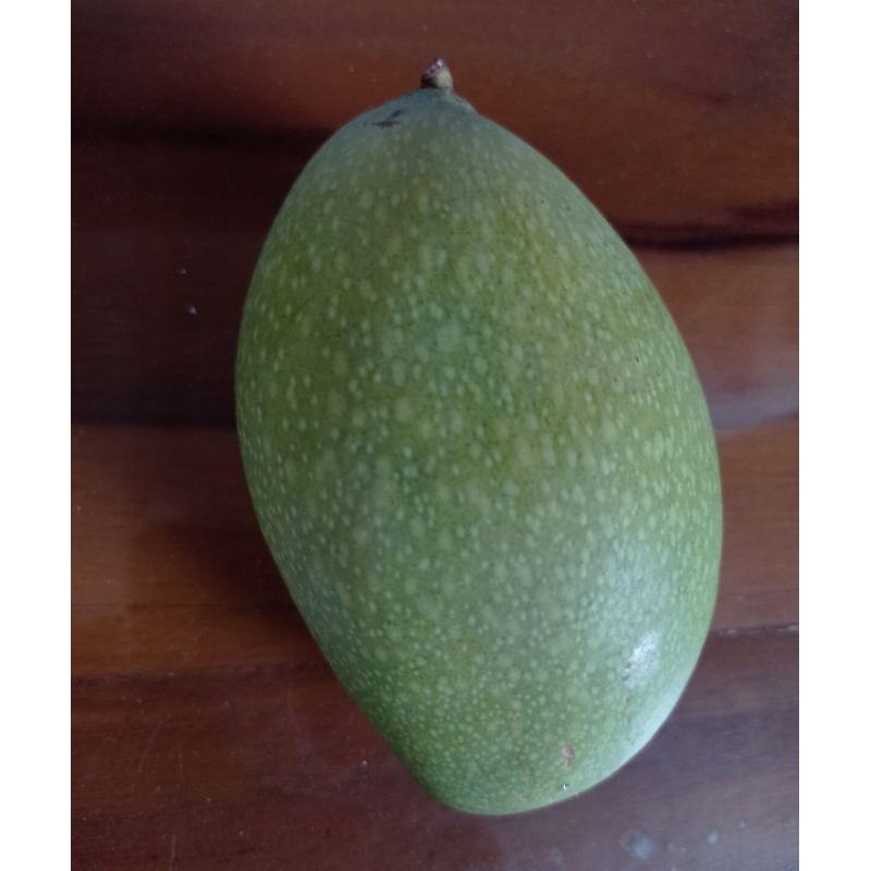 

buah mangga madu