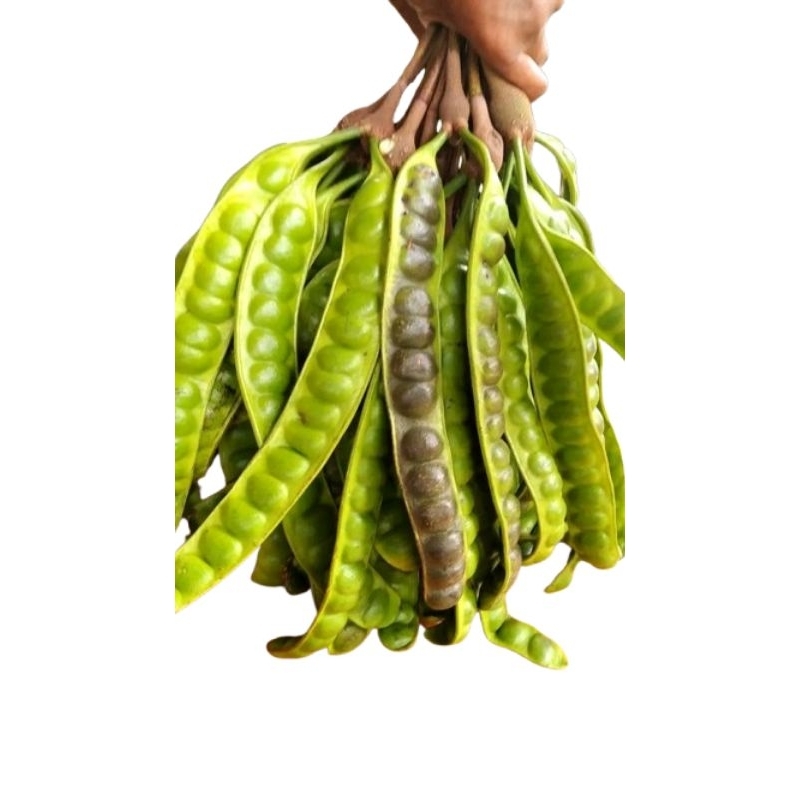 

7 PAPAN PETE PER PAPAN ISI 18 MATA