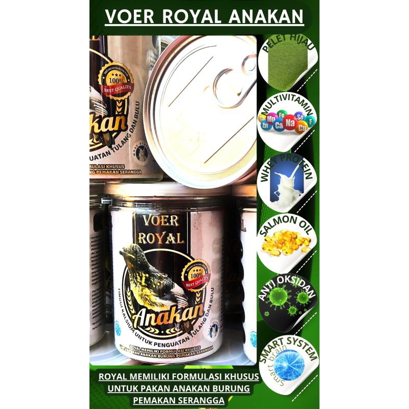 Voer royal pakan khusus untuk anakan burung murai