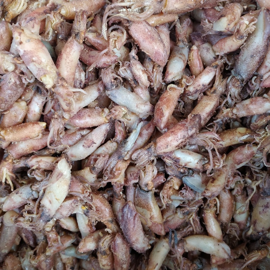 

Baby Cumi grade A 250Gr