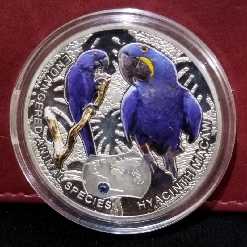 Koin Hyacinth Macaw 2014