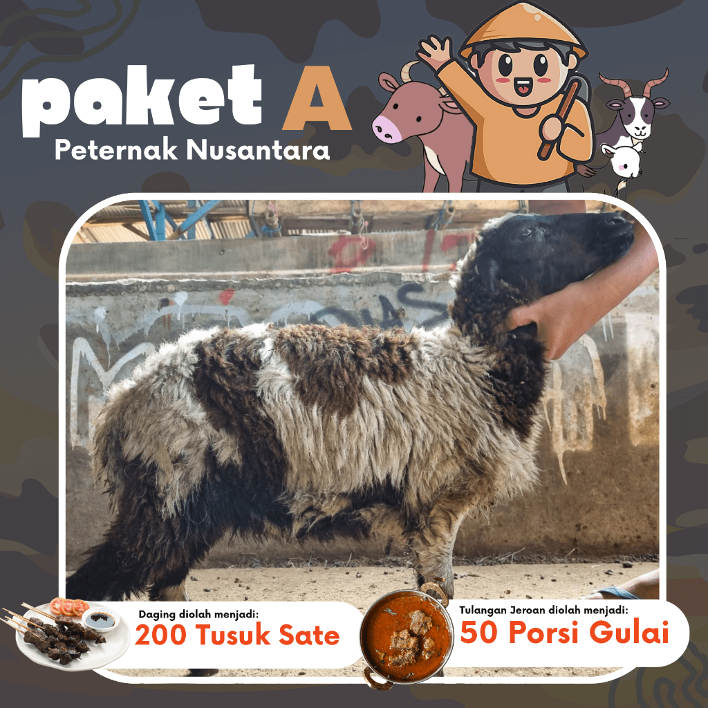 

Aqiqah Anak Paket Murah (A - E) + Masak - Peternak Nusantara