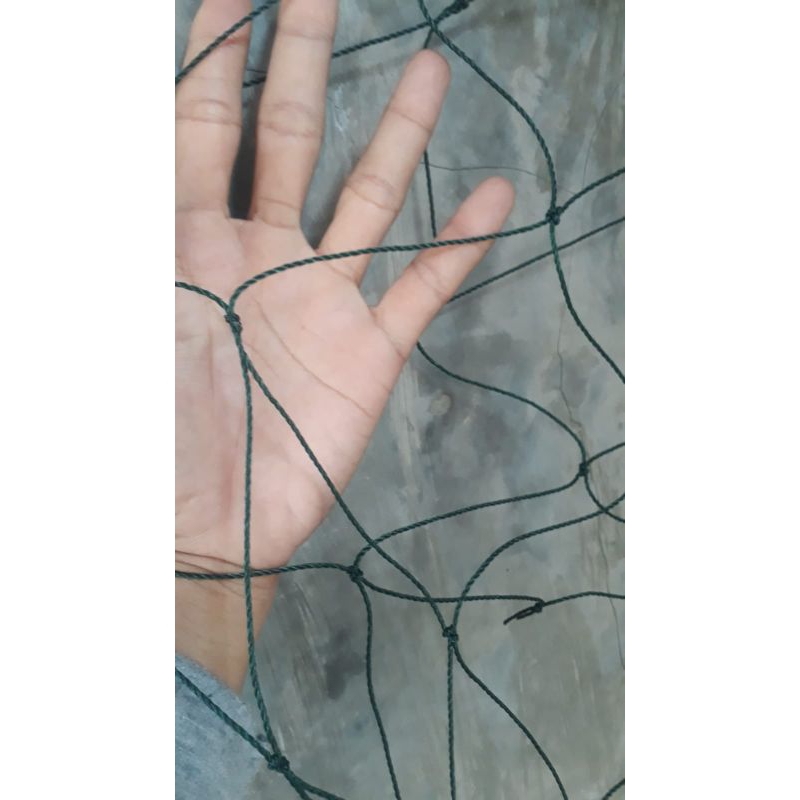 Jaring Dinding poli&JaringDindingBasketUkuranBenangDe24 lobang jaring 10Inc (1LxP1)