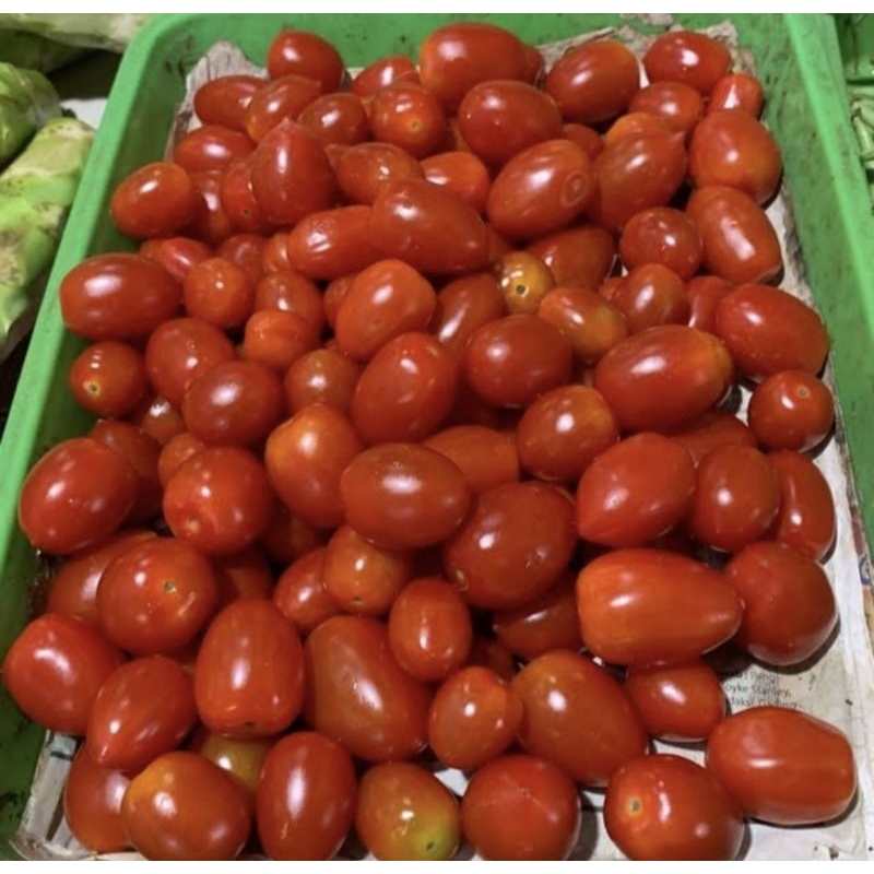 

Tomat ceri/tomat salad sayur