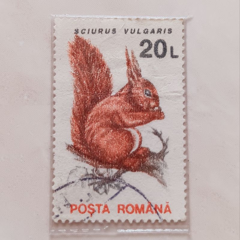 

(AD) Perangko Rumania 1993 Mammals - Eurasian Red Squirrel (Sciurus vulgaris) 20 lei Used