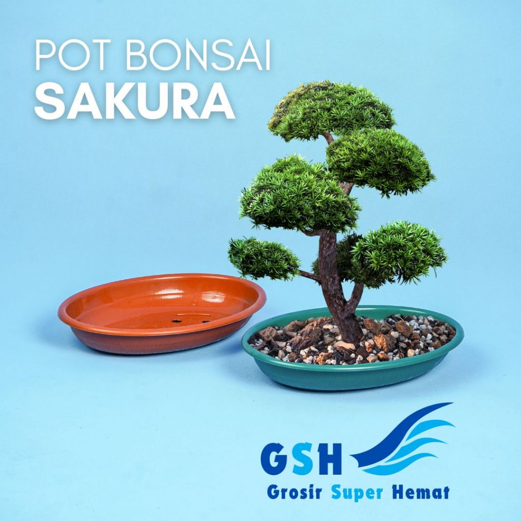 GSH - Pot Bonsai Oval Sakura (Isi 3-6-12 pcs) High Way Motif Kayu Ukuran Besar Premium Tempat Bibit 