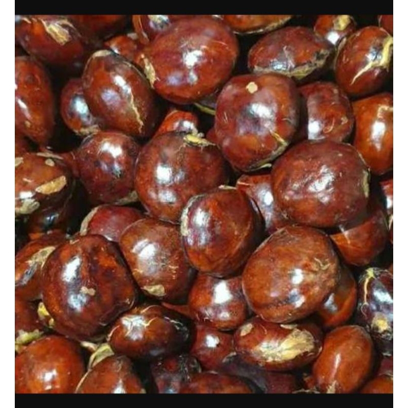 

jengkol tua 1 kg Fress full sortir