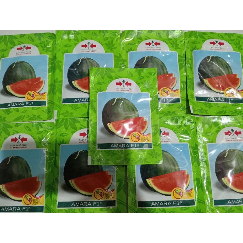 BENIH SEMANGKA AMARA F1