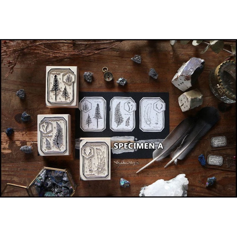 Lin Chia Ning - Specimen Wooden Stamps (Preloved)