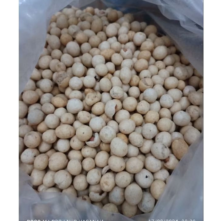 

Cemilan Kacang Telor Ayam 500Gram/Kacang Telur snack Kendari