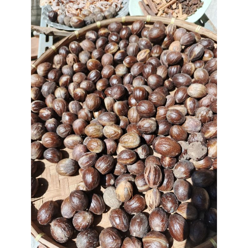 

Buah Pala Bulat