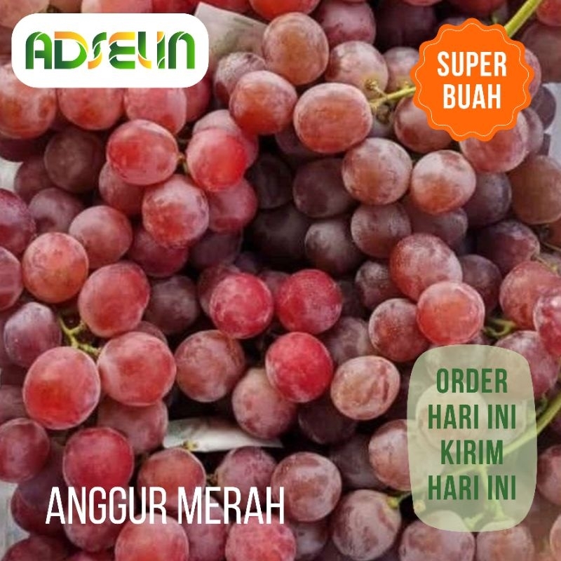 

Anggur 1 Kg Buah Super