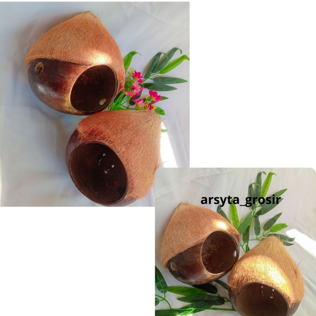 Murah Glodok batok kelapa lovebird / glodok batok kelapa unik