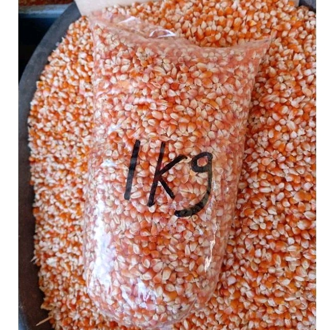 

JAGUNG KRISTAL BREBES MERPATI