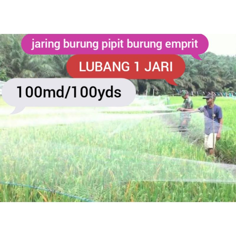 jaring sawah lubang  1 jari / 1¼ inch jaring burung pipit burung emprit jaring sawah jaring padi