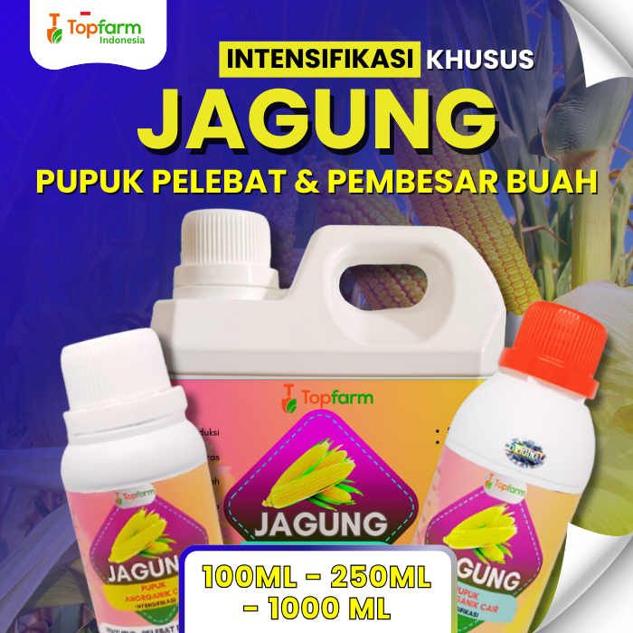 Pupuk Jagung Terbaik  / Pupuk Cair Pembesar  Jagung / Pupuk Pembesar Buah Jagung Cepat Berbuah