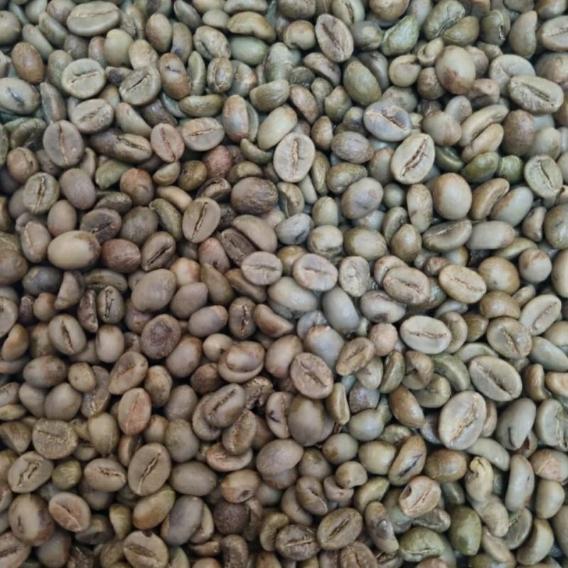 

Biji Kopi Mentah komersil - Green bean Robusta Dampit 250 500gram