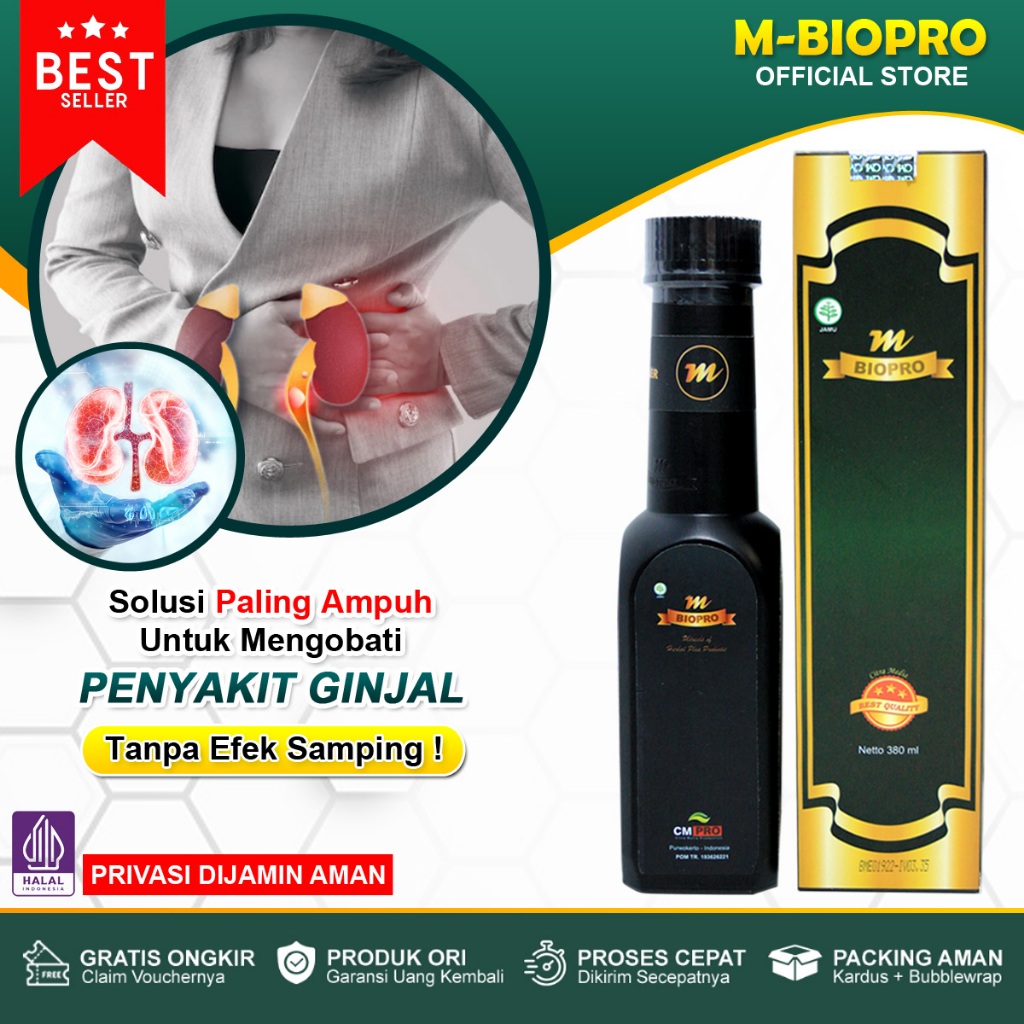 Obat Ginjal Paling Ampuh - Ginjal Kronis - Batu Ginjal - Ginjal Bocor - Ginjal Bengkak - Kista Ginja