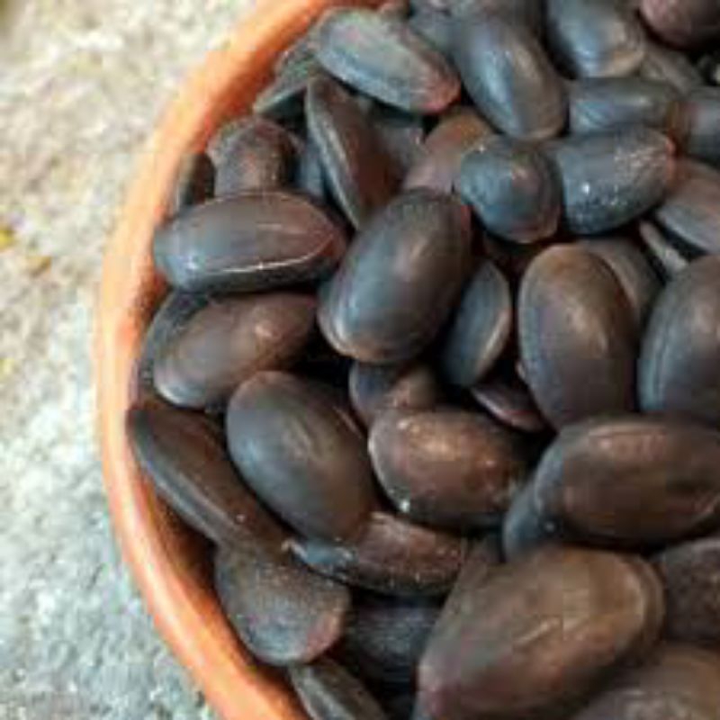 

Biji kedawung 1kg / Biji Kedaung premium