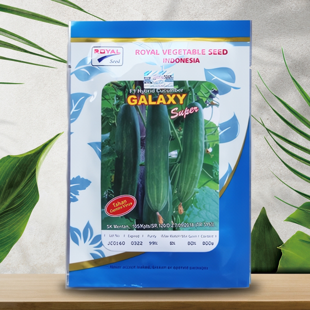 Benih Timun GALAXY 800seed