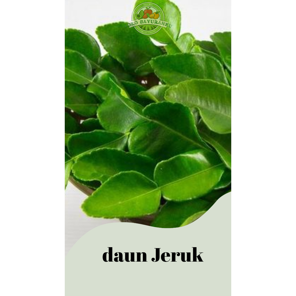 

Daun Jeruk 50Gr Cimahi Bandung