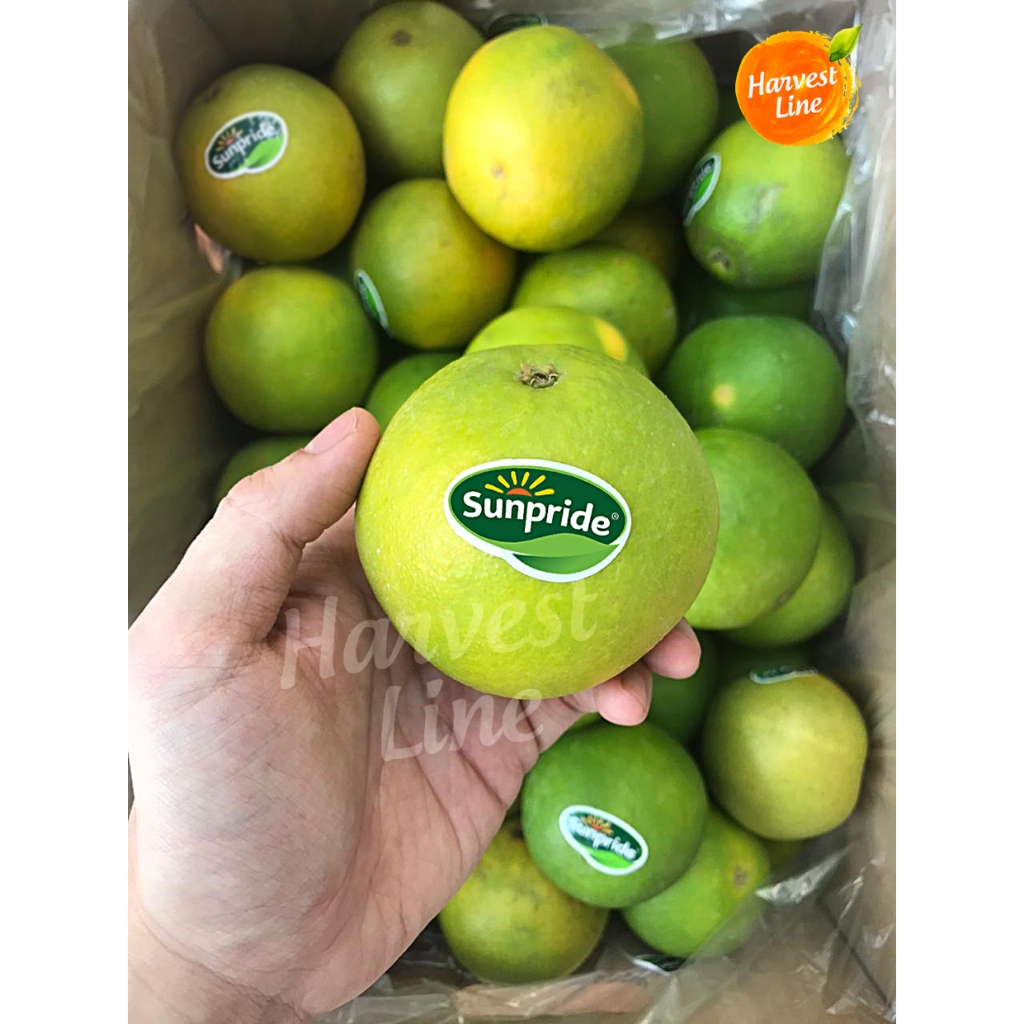 

JERUK BABY BEBI PERAS 1KG [HARVEST LINE]