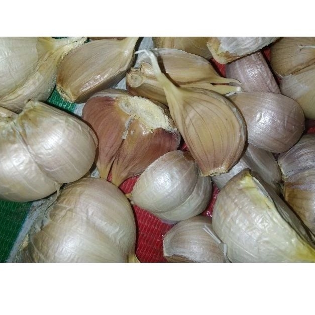 

BAWANG PUTIH 250Gr (1/4kg)