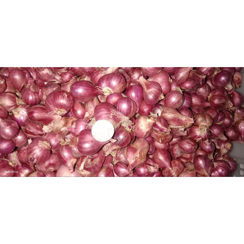 

BM probolinggo tanggung kecil 1kg