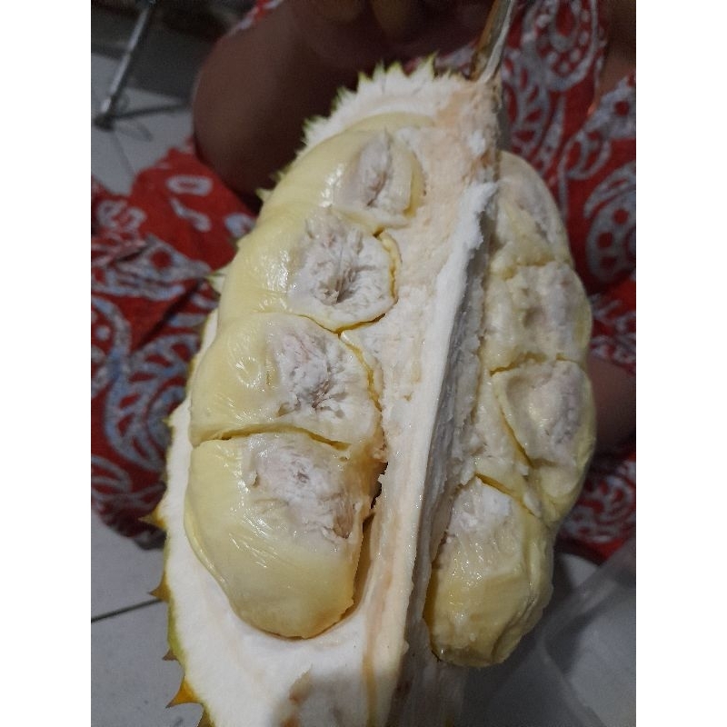 

duren montong