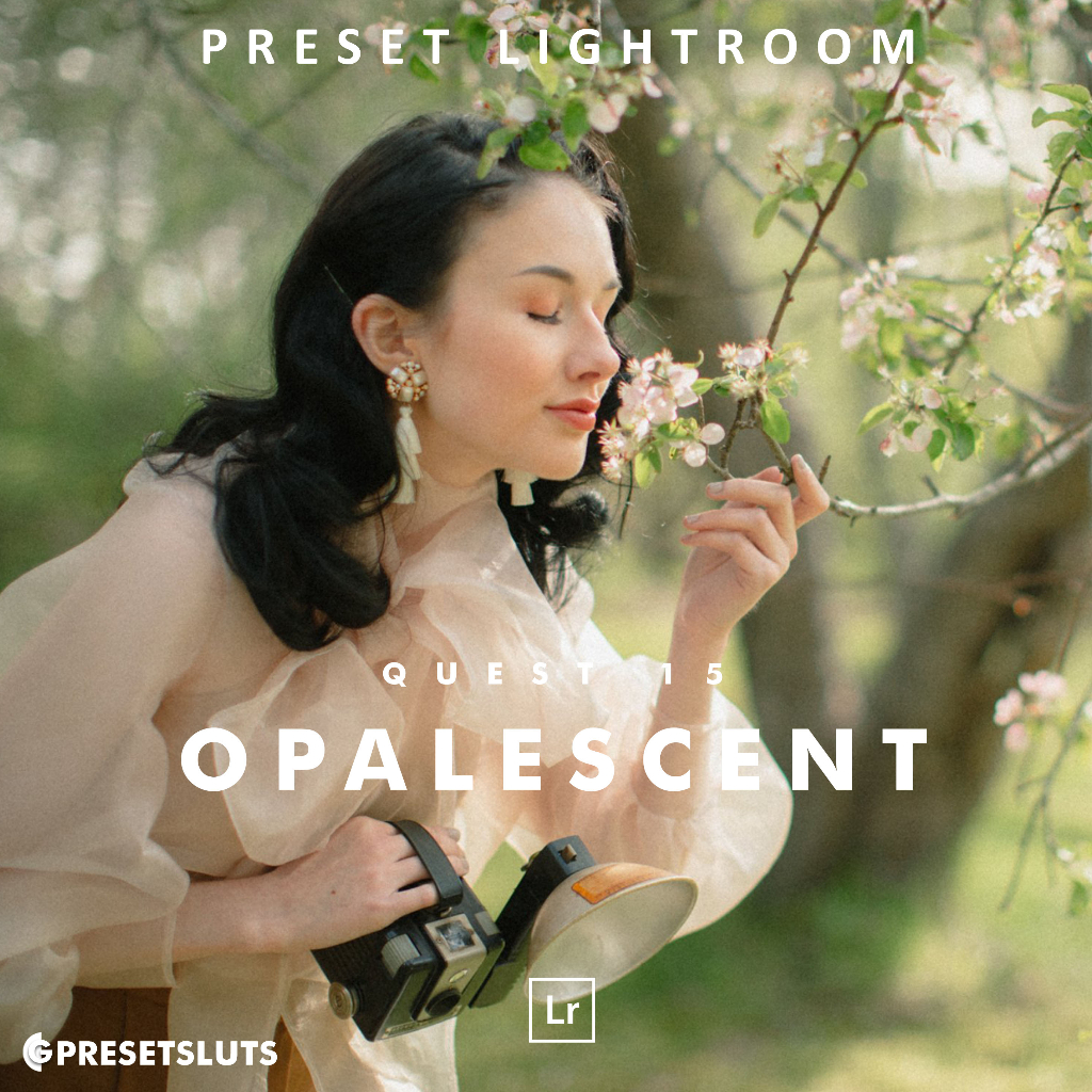 Archipelago QUEST 15 OPALESCENT Lightroom Presets Desktop Android