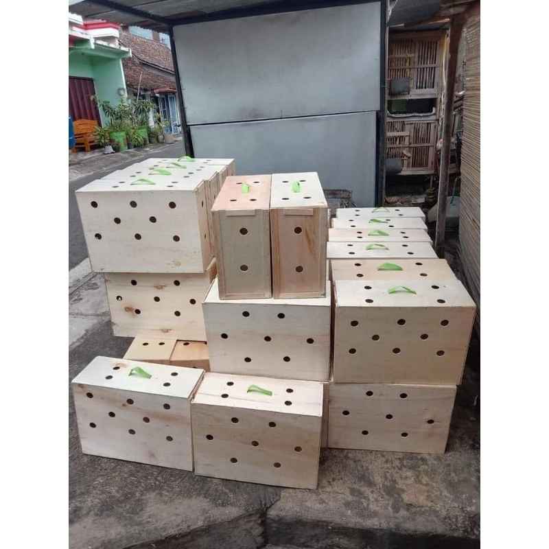 

Box Pengiriman Ayam 55x22x40