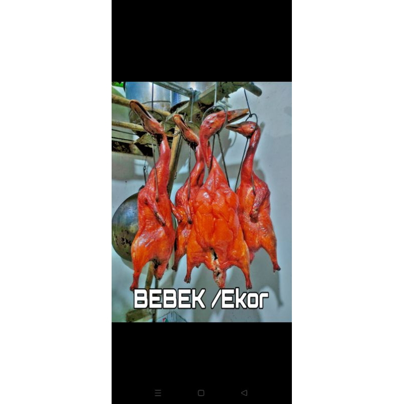 bebek. panggang/1ekor.-+1.8