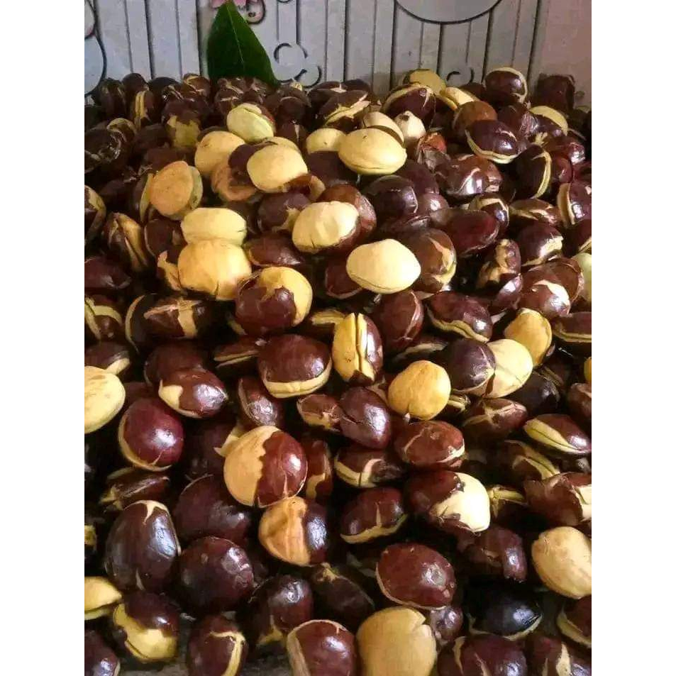 

jengkol tua mentah ukuran campur kemasan 1kg