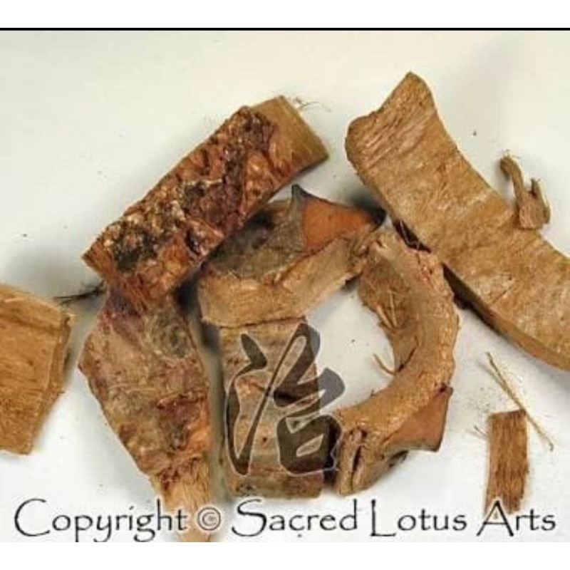 

300 GRAM 海桐皮 HAI TONG PI CORTEX ERYTHRINIAE ERYTHRINA BARK CORAL BEAN BACK