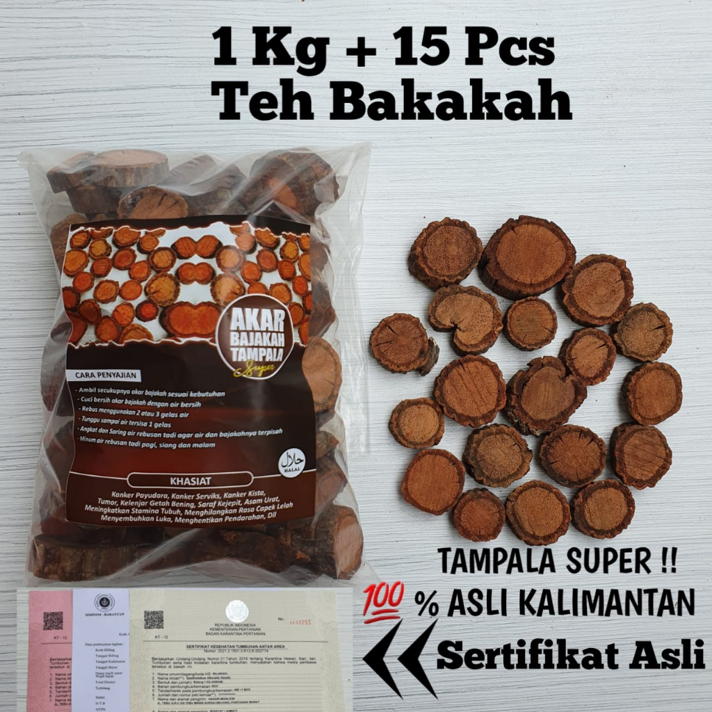 

Akar Bajakah Tampala Super Sertifikat Asli Kalimantan (1kg)