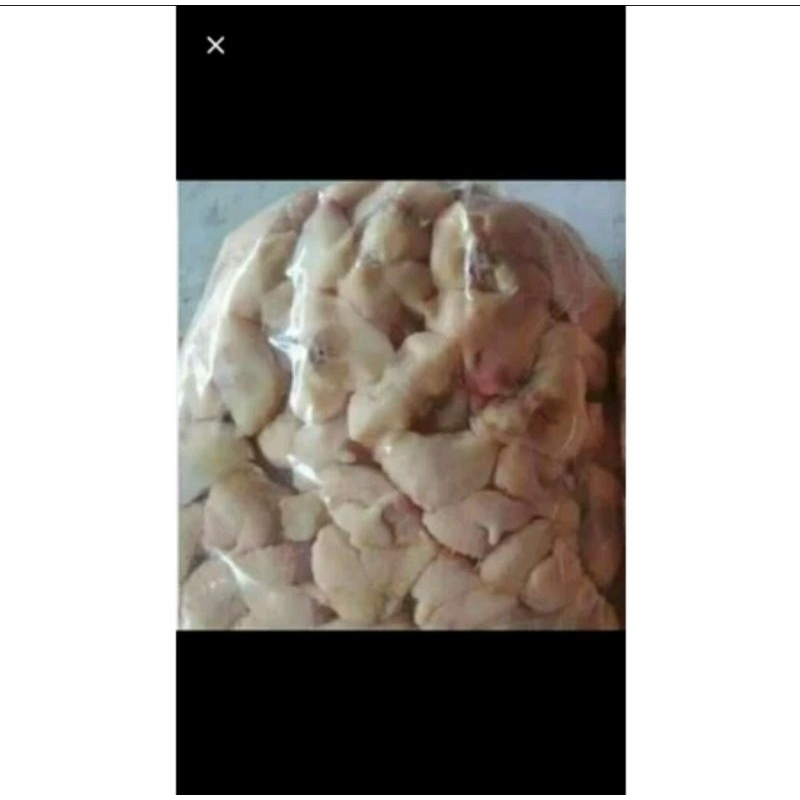 

Tungir Ayam Brutu Bokong Pantat ayam