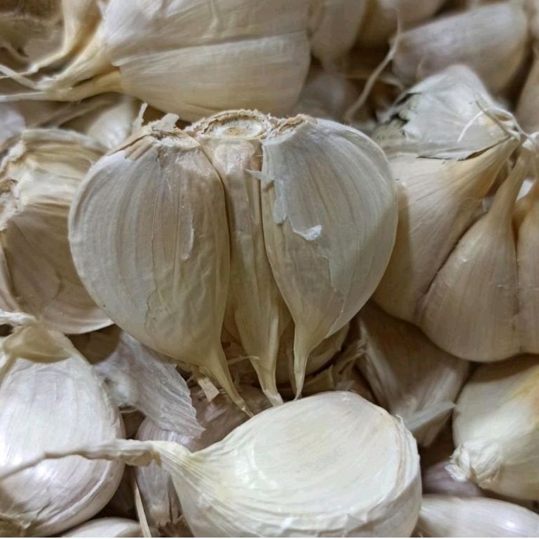 

HypeMart - Bawang Putih Kating fresh