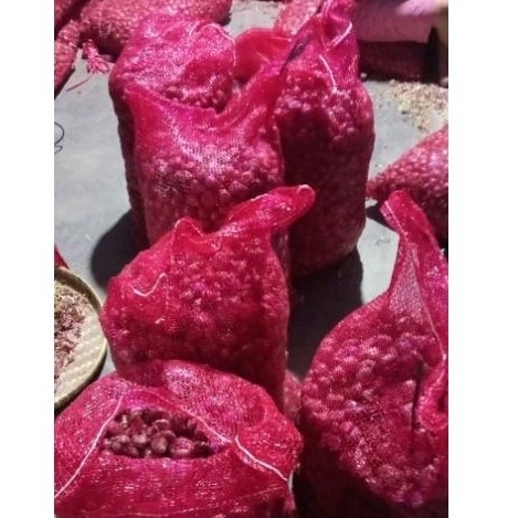 

Bawang merah super/ bawang merah murah
