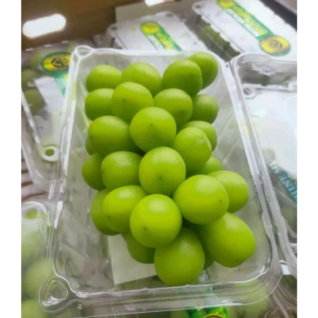 

BUAH ANGGUR HIJAU MUSCAT PACK 500 gr