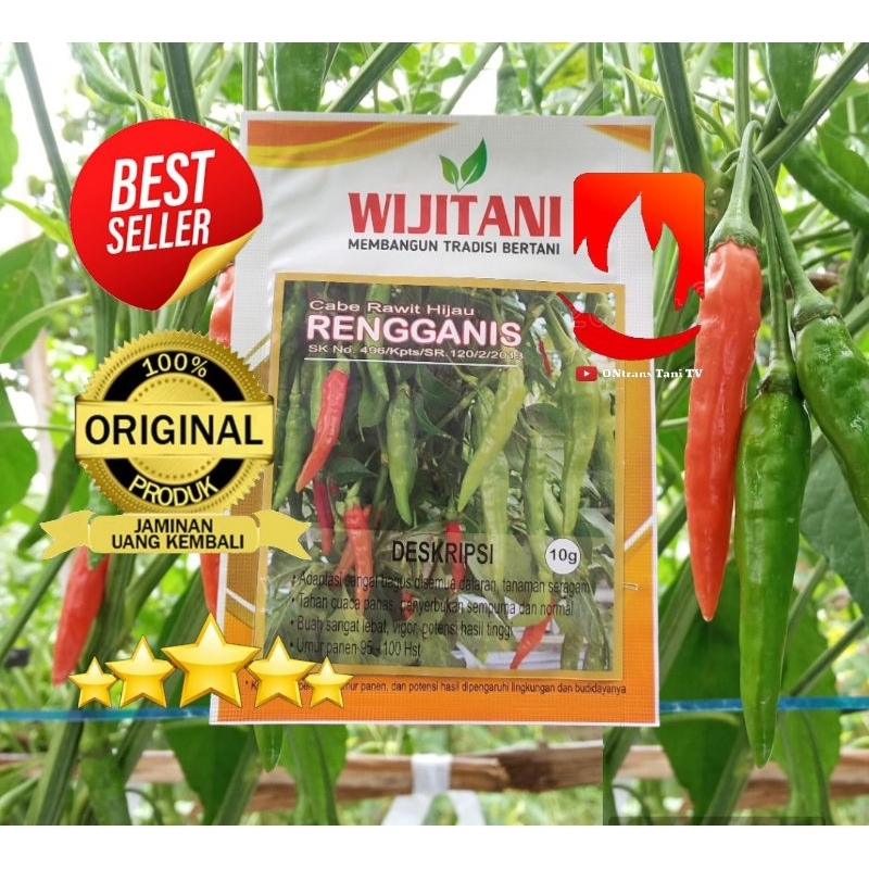 benih Cabe Rawit Hijau RENGGANIS Ori WIJITANI 10gr