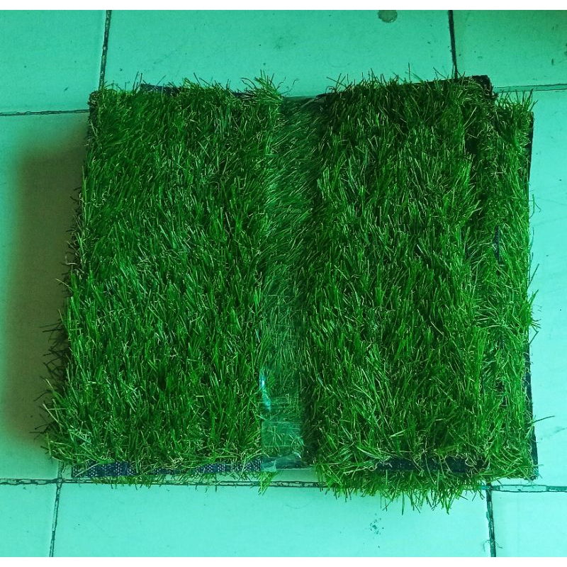 rumput plastik palsu
