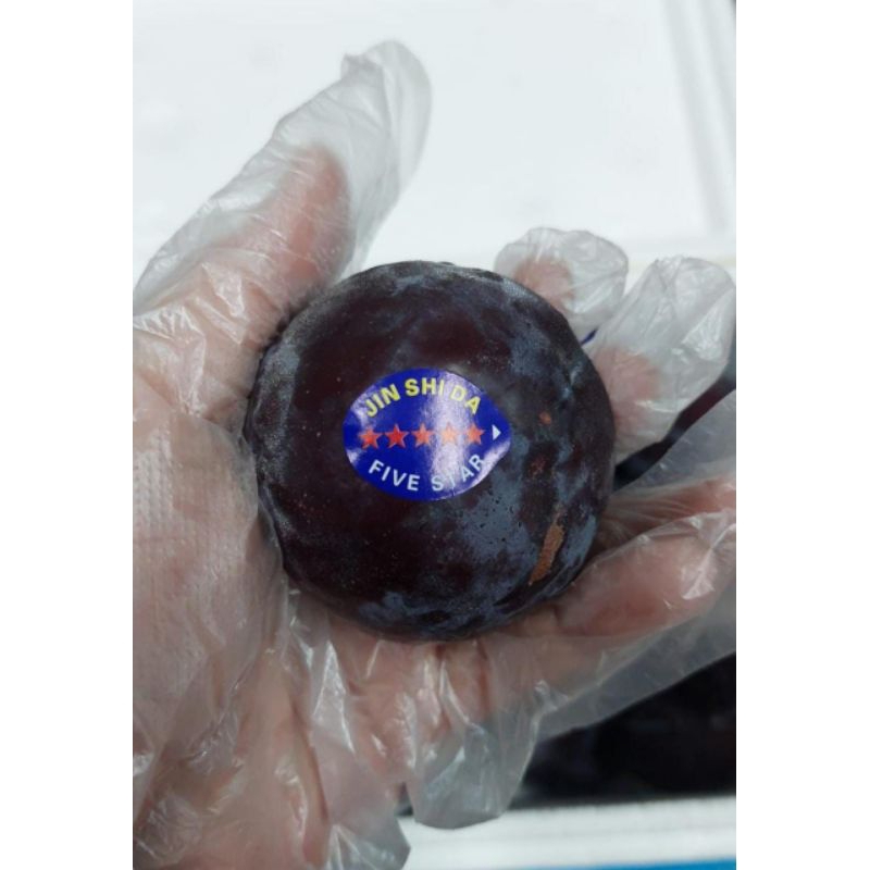 

Buah plum red plum 1kg