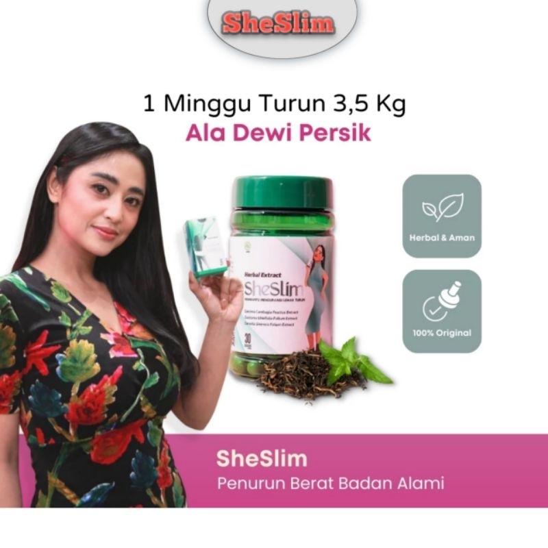 PELANGSING PENURUN BERAT BADAN SHESLIM